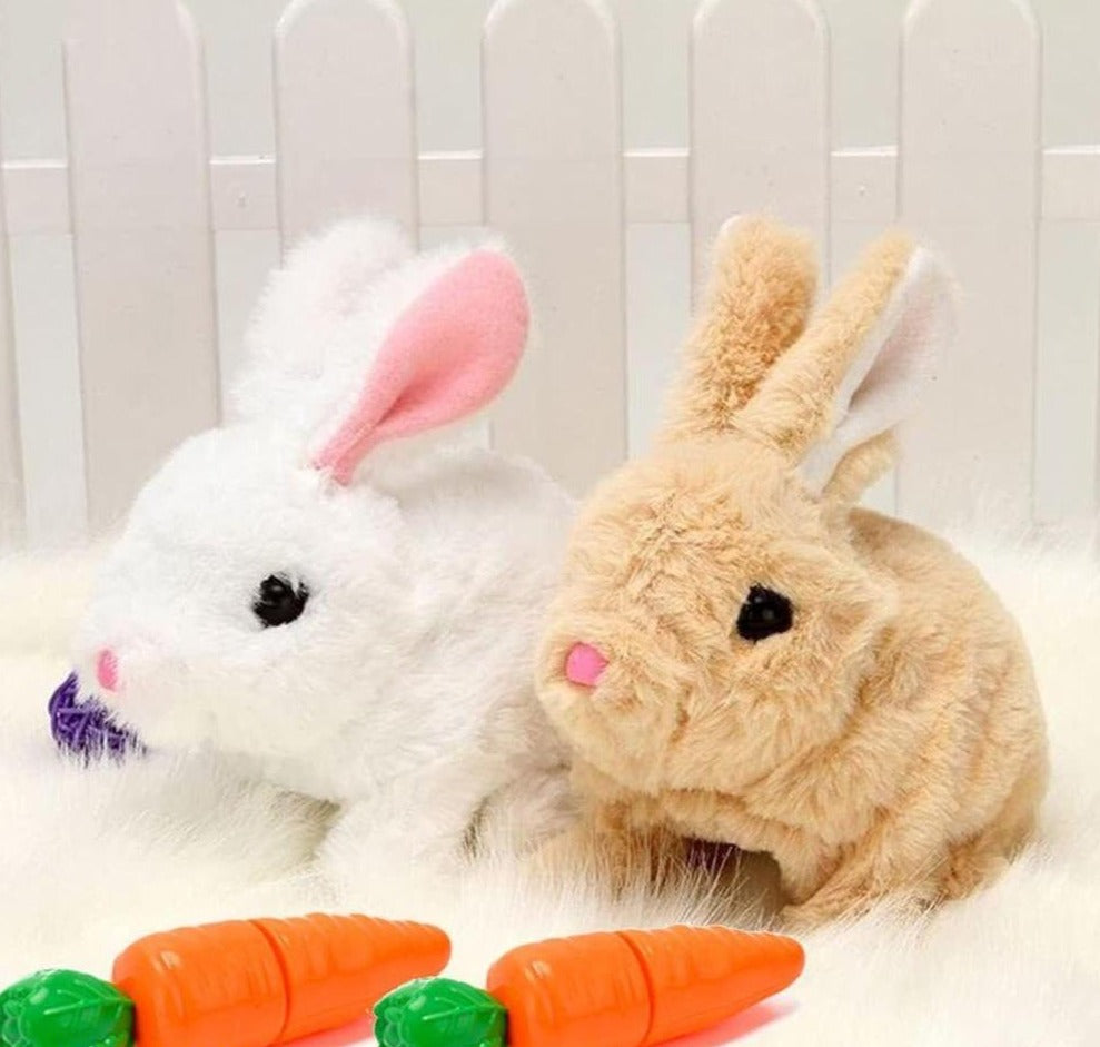 Walking And Taking Rabbit For Kids