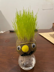 DIY Grass Head Doll