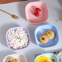 10 Pic Portable Dinner Plates Sets