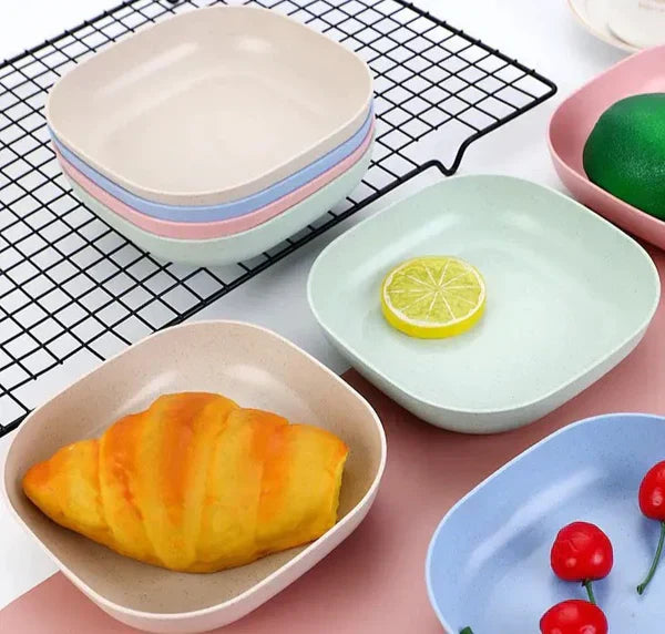 10 Pic Portable Dinner Plates Sets