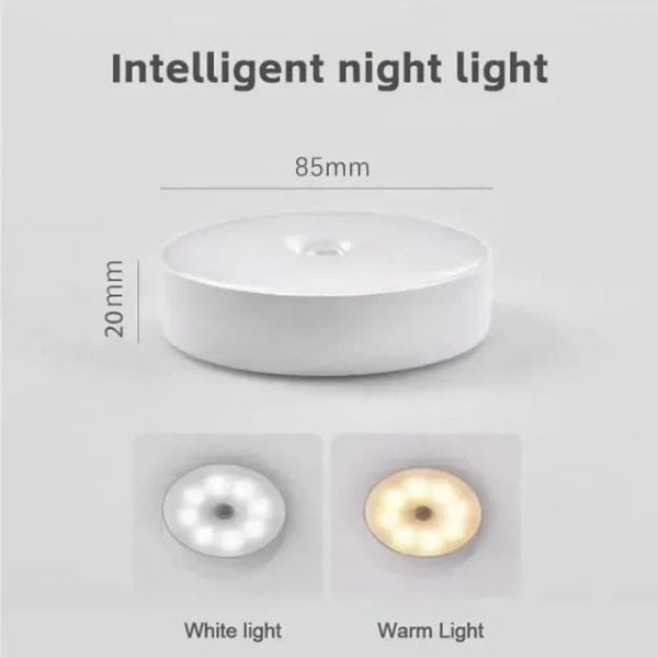 Automatic Night Light